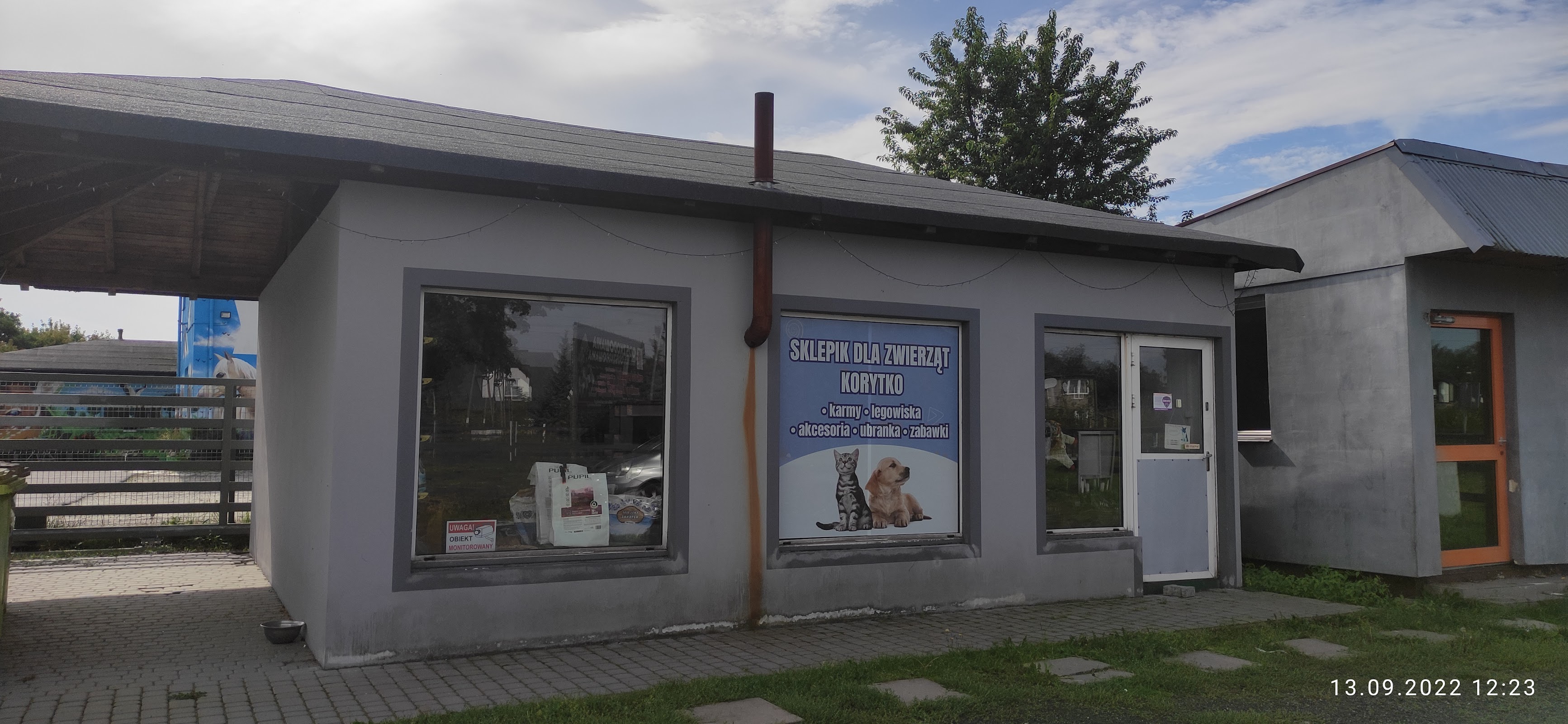 Opieka weterynaryjna nad psami