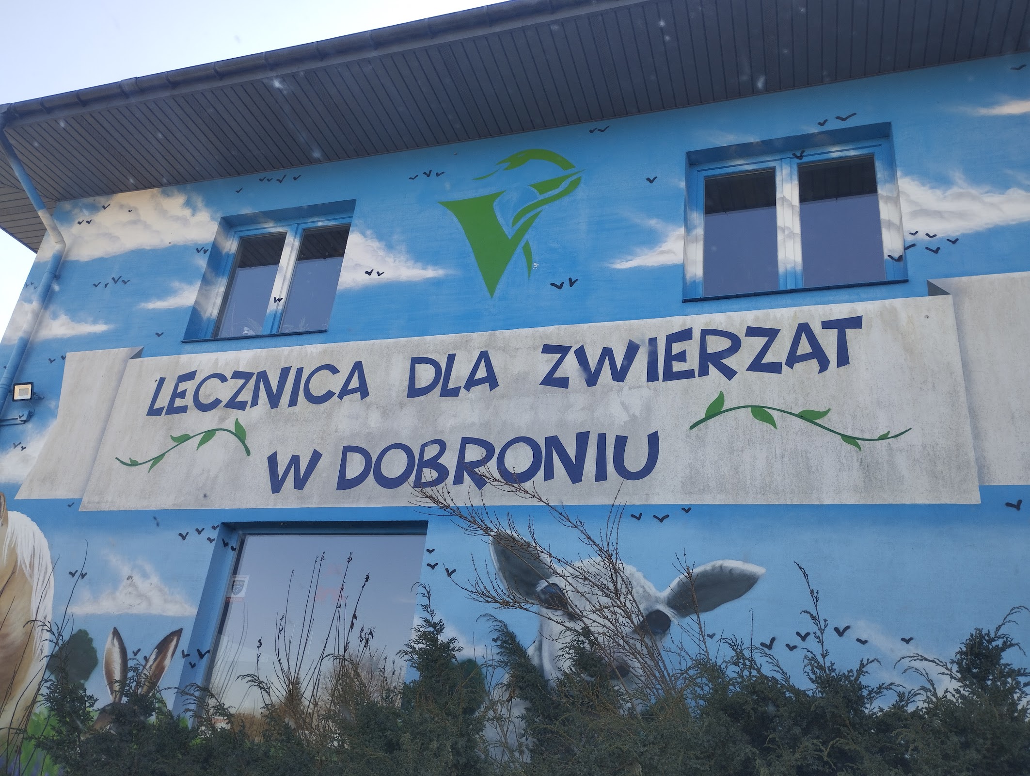Opieka weterynaryjna nad kotami