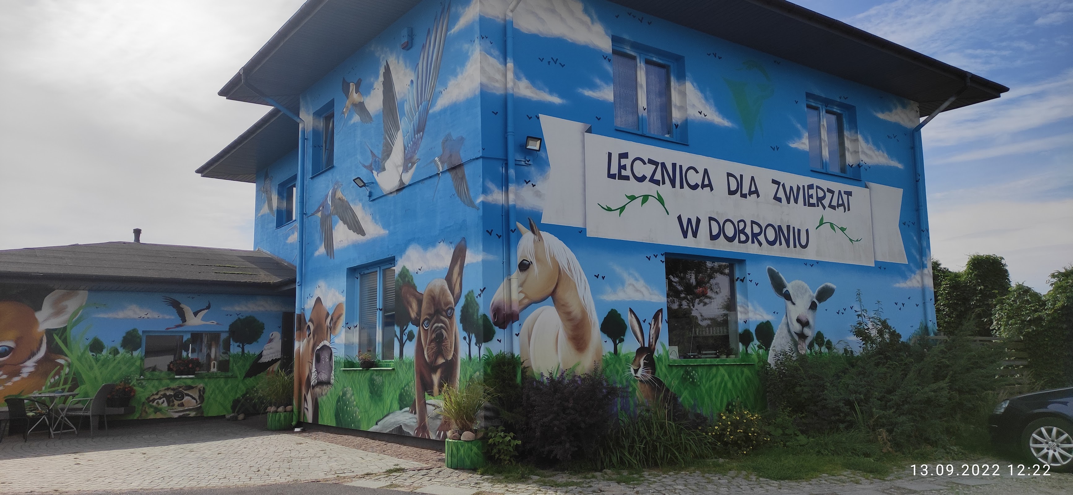 Pacjent gabinetu TeamVet Dobroń